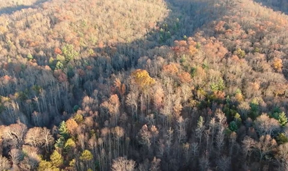 1st image of 236 Sheets Hollow Rd