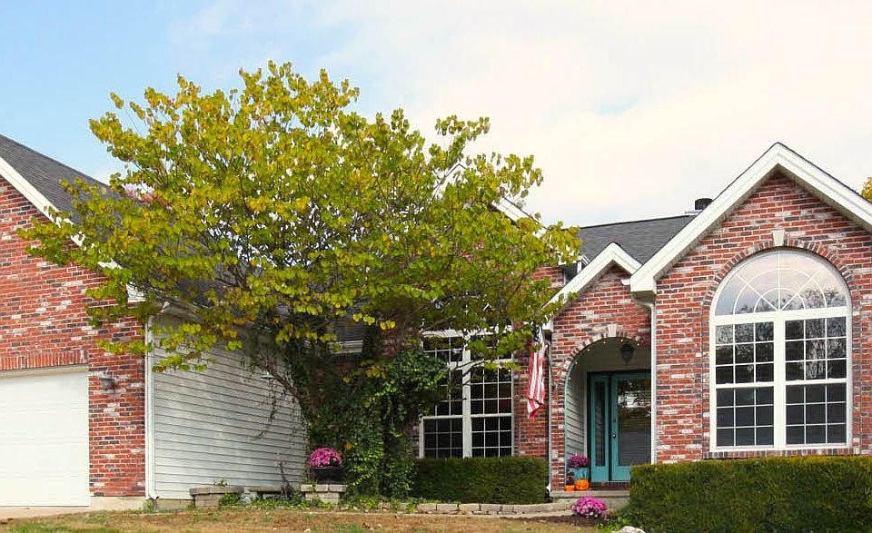 #6 -- Curb Appeal Galore!