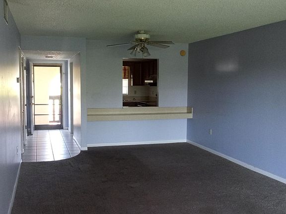 4th image of 205 Palmetto Ave APT 710