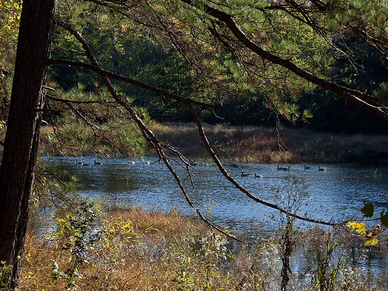 Find serenity by our apartment's calm and inviting lake