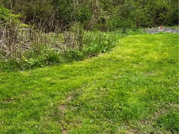 0 N Fork Of Big Creek Rd, Chapmanville, WV 25508