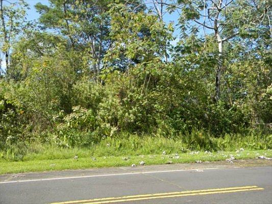 2nd image of 15-2815 S Manalo St Lot 1143