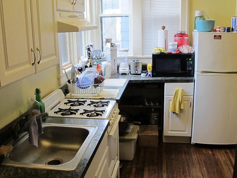43 Vick Park #1A — Photo 2