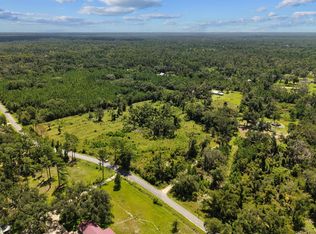 0 W Lyman Hendry Rd, Perry, FL 32347