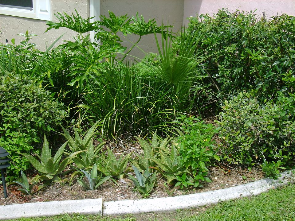 2nd image of 4230 Tree Tops Dr