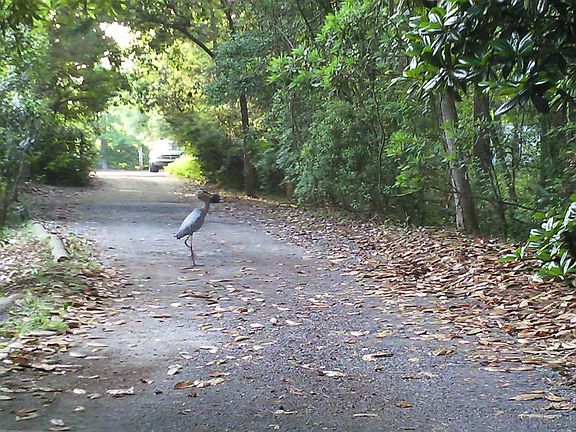 Entry with a sentry