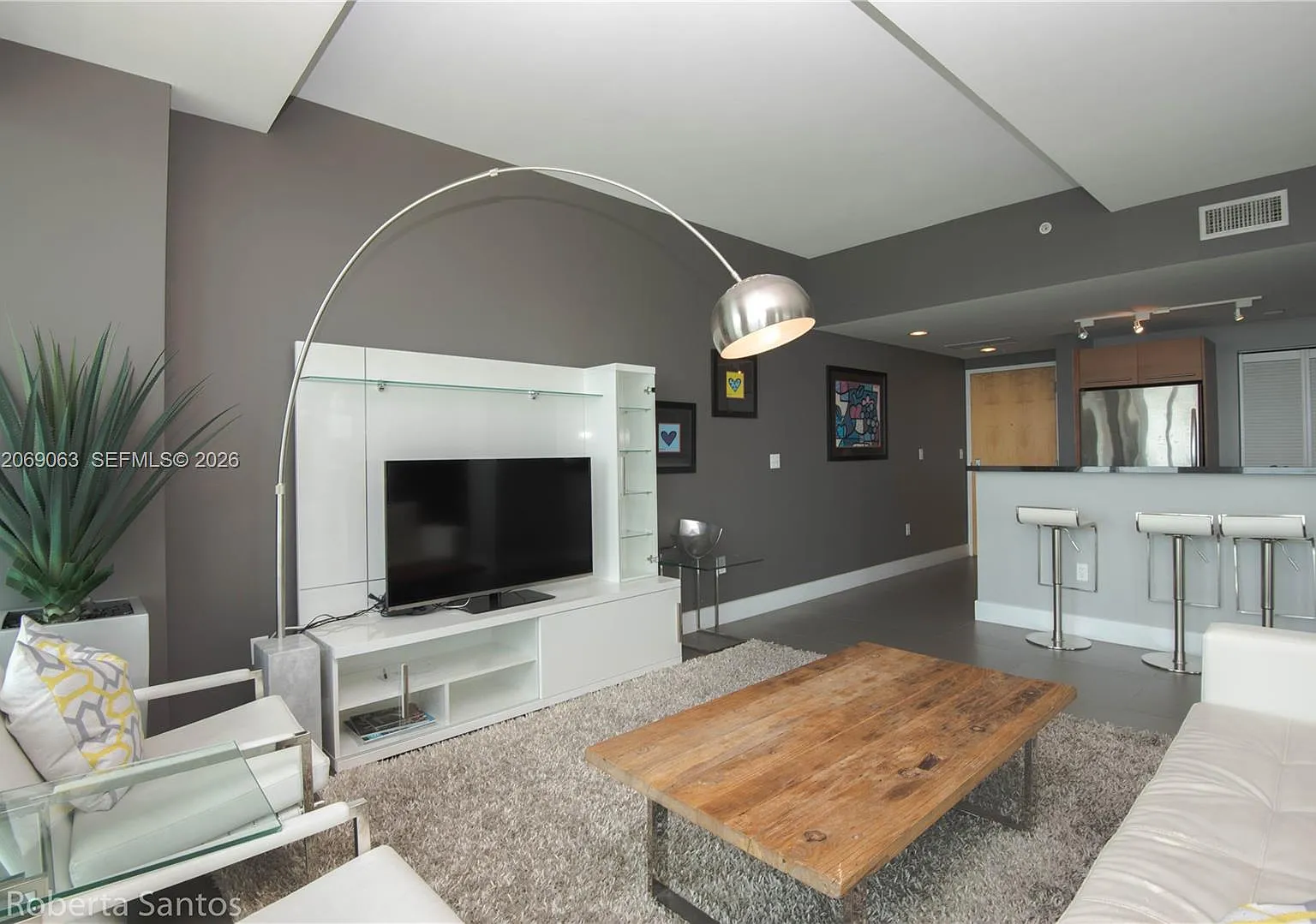 Vizcayne North Condo — Photo 4