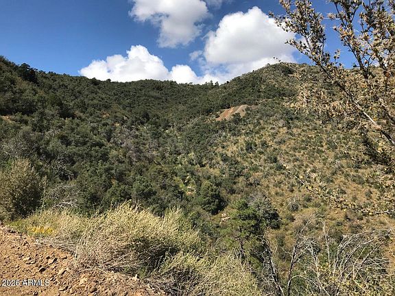 3rd image of 22431 S GLADIATOR MINE Road #-
