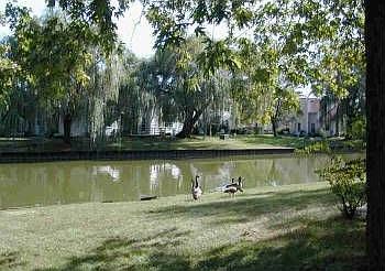 1st image of 1091 Colony Lake Dr