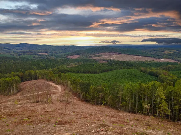 86 / Acres County Rd #418-1, Woodland, AL 36280