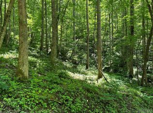 3 Vess Owen Rd, Tuckasegee, NC 28783