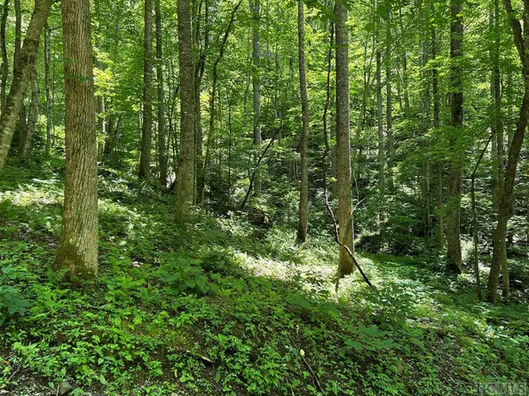 Lot 3 Vess Owen Road, Tuckasegee, NC 28783