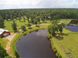 6485 Pine Shadows Rd, Cleveland, TX 77328