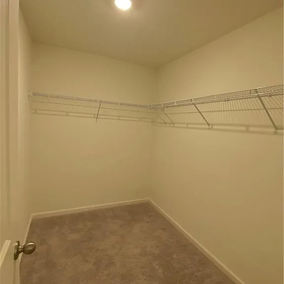 1042 Paddington Dr — Photo 12