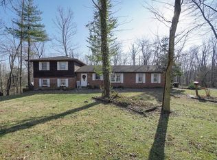 2961 Mount Olive Point Isabel Rd, Bethel, OH 45106