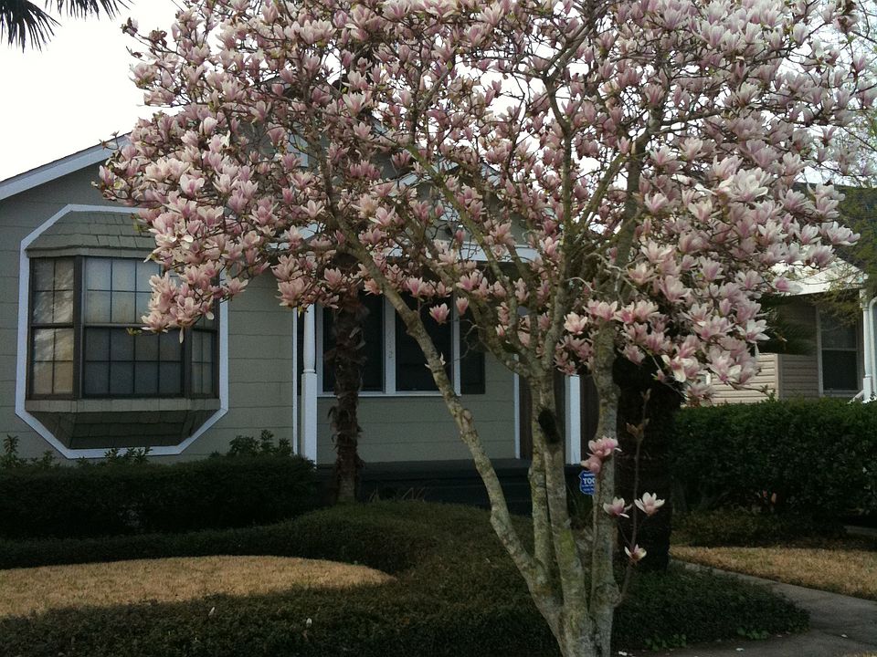 1st image of 3642 Cypress St
