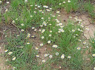 17 Rio Grande Stables Rd #10, Belen, NM 87002