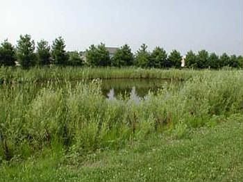 2nd image of 8420 N County Road 650 E
