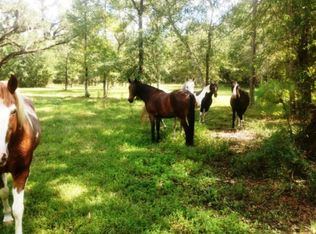 19095 Phillips Rd, Brooksville, FL 34604