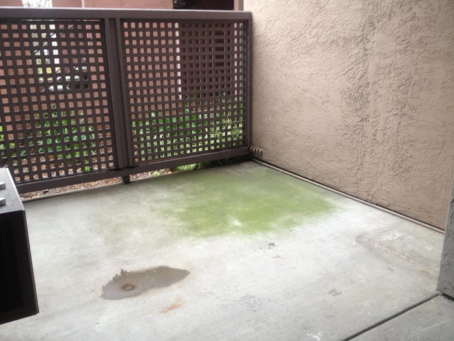 1 bed, 721 sqft, $2,650 — Photo 3