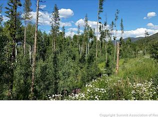 81 Vierling Way, Frisco, CO 80443