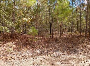 23.3 Syrup Mill Rd, Manning, SC 29102