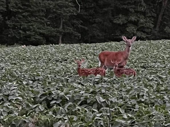 2422 210th Ave, Delhi, IA 52223