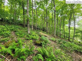 6 Valle Vista Dr, Banner Elk, NC 28604