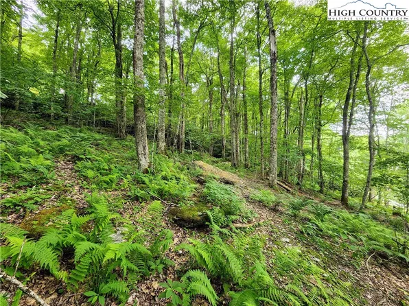 lot 6 Valle Vista Drive, Banner Elk, NC 28604