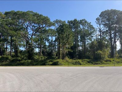 Arrowtree Boulevard Lot #64, Clermont, FL, 34715