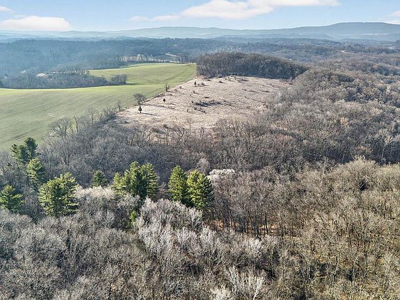 2nd image of 271.18 acres Zwettler/Foster Road #N/A