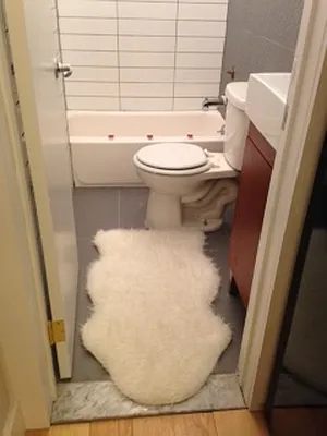 Rented by Rental Solutions Inc | media 12