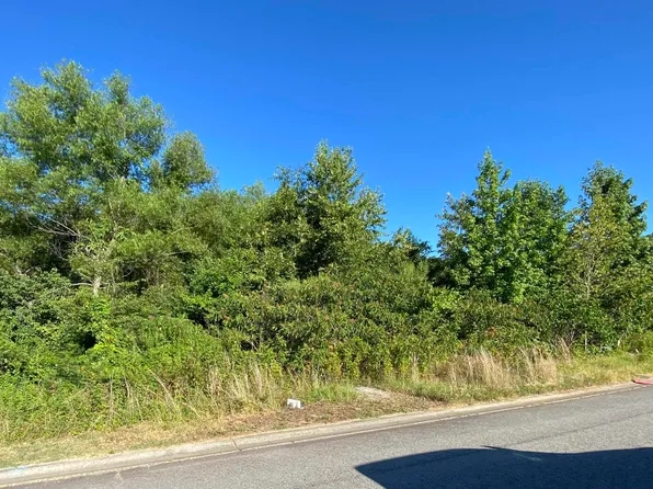 336 Weathering Ln, Austin, AR 72007