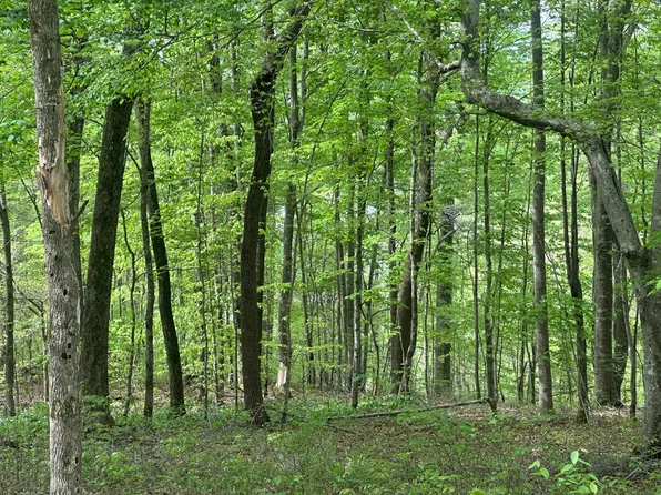 0 Oak Drive Brady Dr, Albany, KY 42602