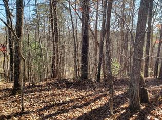 Campbell Camp Cir, Blue Ridge, GA 30513