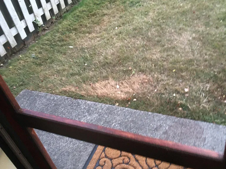 1909 Colby Ave #2 — Photo 3