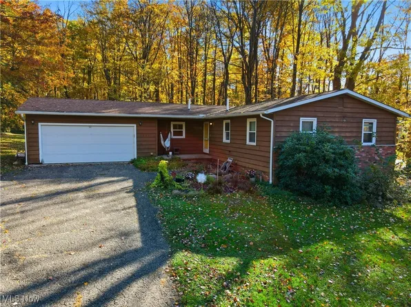 15387 Munn Rd, Newbury, OH 44065