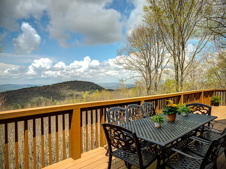 W Blueberry Ln — Photo 43