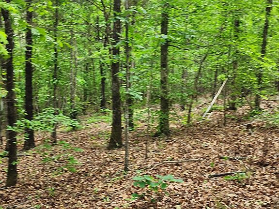 2nd image of 6295 County Road 8
