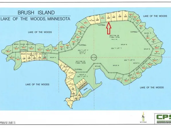 TRACT 6 Brush Is, Angle Inlet, MN 56711