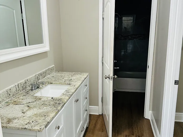 Downstairs Master Bathroom