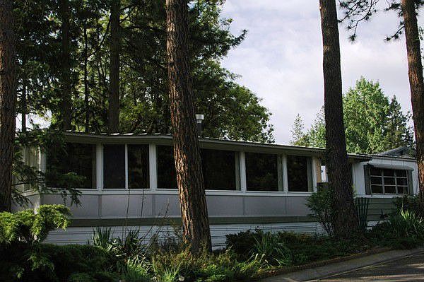 Tall Pines
