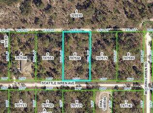 11259 Seattle Wren Ave, Weeki Wachee, FL 34614