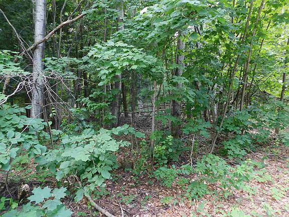 3rd image of 173 Hemlock Dr
