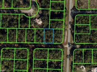 3203 Delafield Ave, Lake Placid, FL 33852