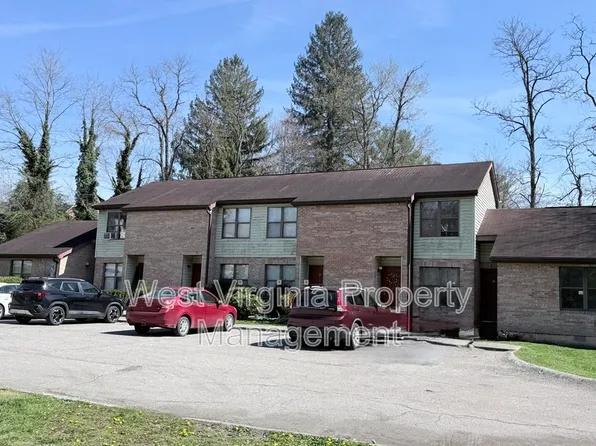 82 Beagle Club Rd APT 16, Jumping Branch, WV 25969