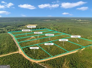 PARCEL 8 Carl Rodgers Rd, Reynolds, GA 31076