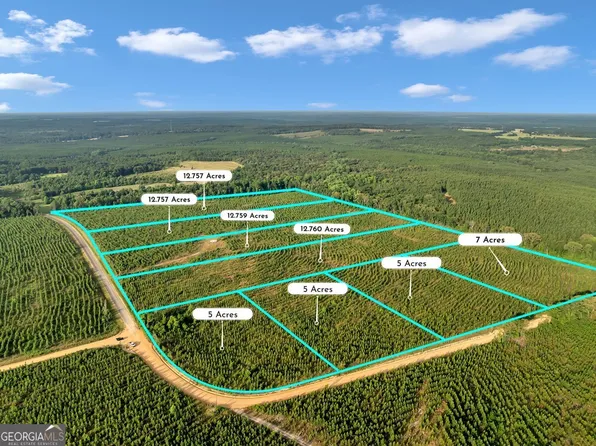 5 Carl Rodgers Rd, Reynolds, GA 31076