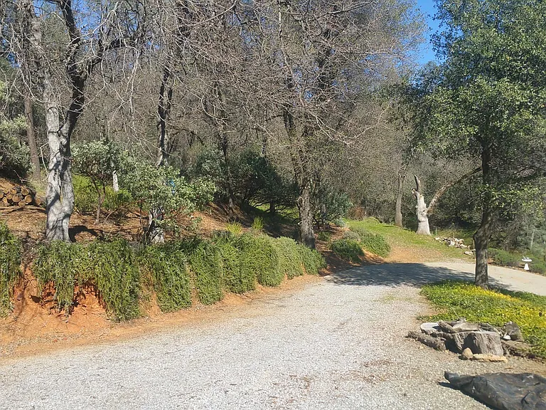 driveway to back