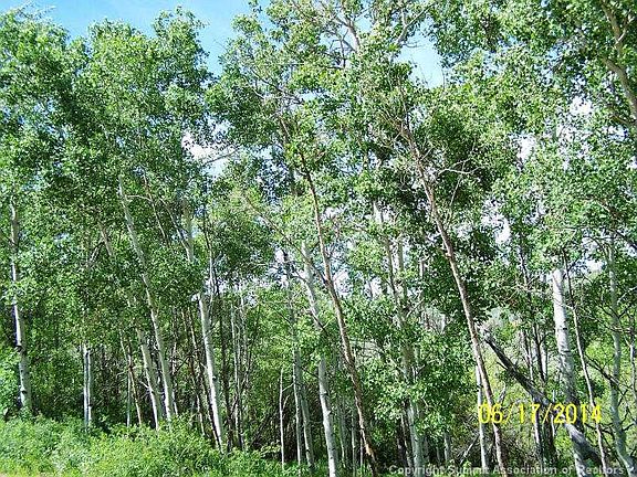 4th image of 67 CR 195 Road